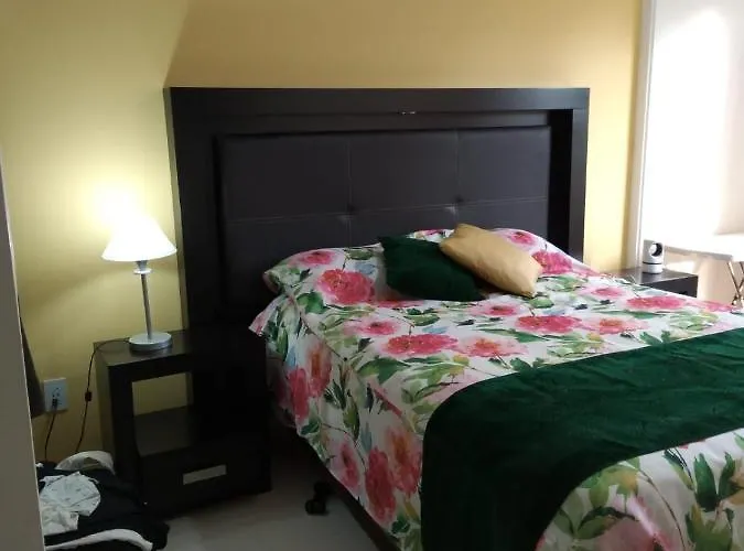 Charming Sunny Bedroom Overlooking Beautiful Amsterdam Avenue In Condesa Area Alloggio in famiglia