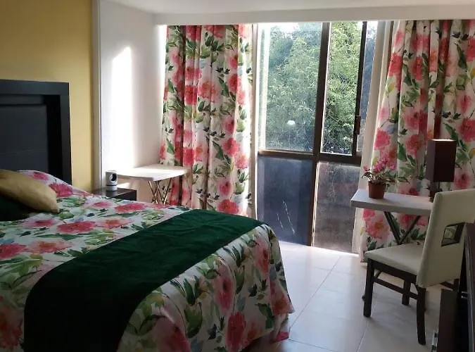 Alloggio in famiglia Charming Sunny Bedroom Overlooking Beautiful Amsterdam Avenue In Condesa Area *