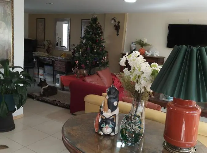 Charming Sunny Bedroom Overlooking Beautiful Amsterdam Avenue In Condesa Area *
