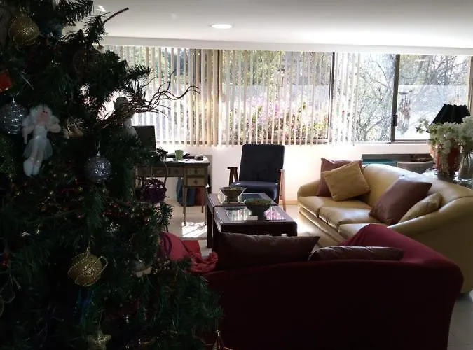 Alloggio in famiglia Charming Sunny Bedroom Overlooking Beautiful Amsterdam Avenue In Condesa Area