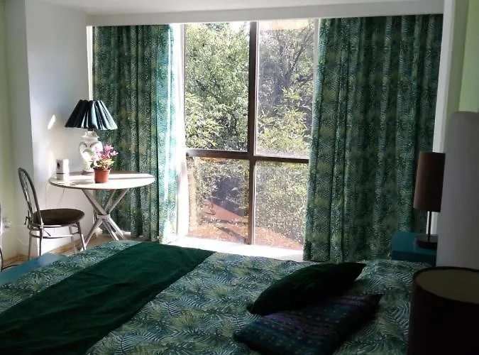 Charming Sunny Bedroom Overlooking Beautiful Amsterdam Avenue In Condesa Area *