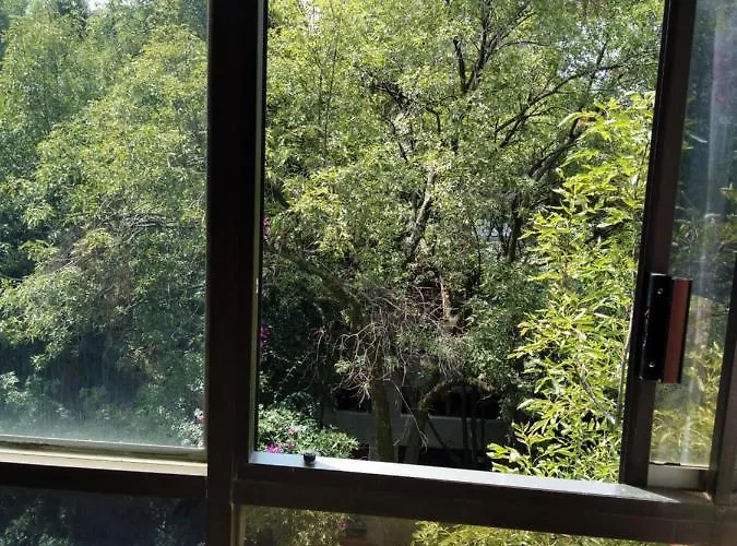 Alloggio in famiglia Charming Sunny Bedroom Overlooking Beautiful Amsterdam Avenue In Condesa Area Città del Messico