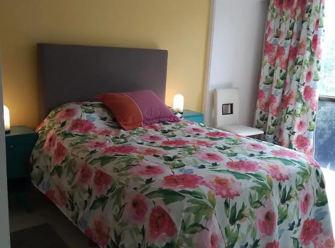 Charming Sunny Bedroom Overlooking Beautiful Amsterdam Avenue In Condesa Area Città del Messico