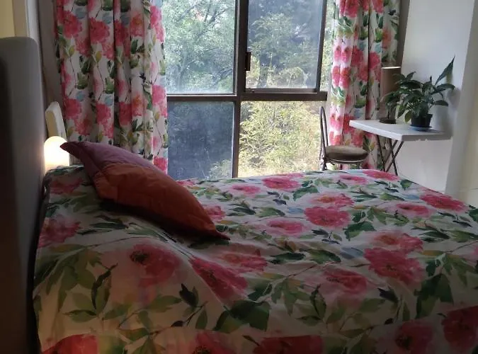 Alloggio in famiglia Charming Sunny Bedroom Overlooking Beautiful Amsterdam Avenue In Condesa Area
