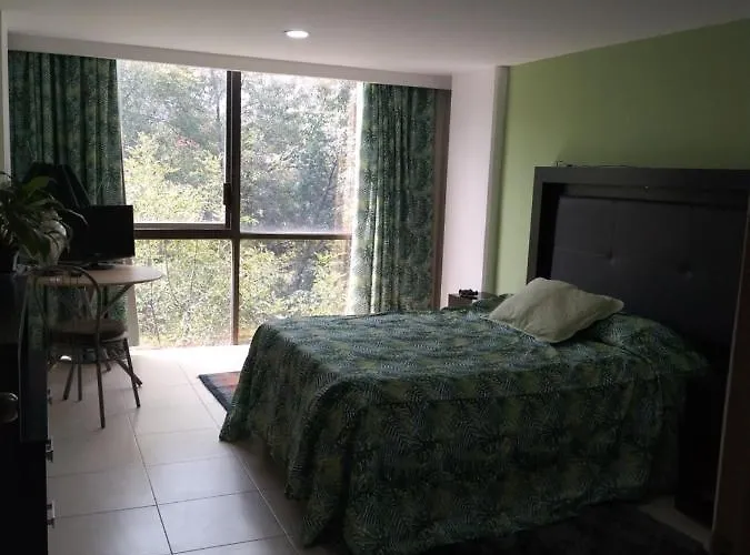 Alloggio in famiglia Charming Sunny Bedroom Overlooking Beautiful Amsterdam Avenue In Condesa Area *