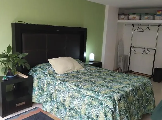 Charming Sunny Bedroom Overlooking Beautiful Amsterdam Avenue In Condesa Area *