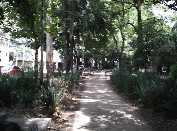 Charming Sunny Bedroom Overlooking Beautiful Amsterdam Avenue In Condesa Area Alloggio in famiglia *